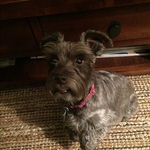 Meet your Posher, Catherine